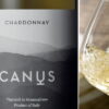 Cardonnay-Canus.jpg