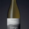 Pinot-Grigio-Canus-1.jpg