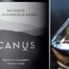 Refosco-del-Peduncolo-Rosso-Canus.jpg