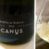 Ribolla-gialla-Brut-Canus.jpg